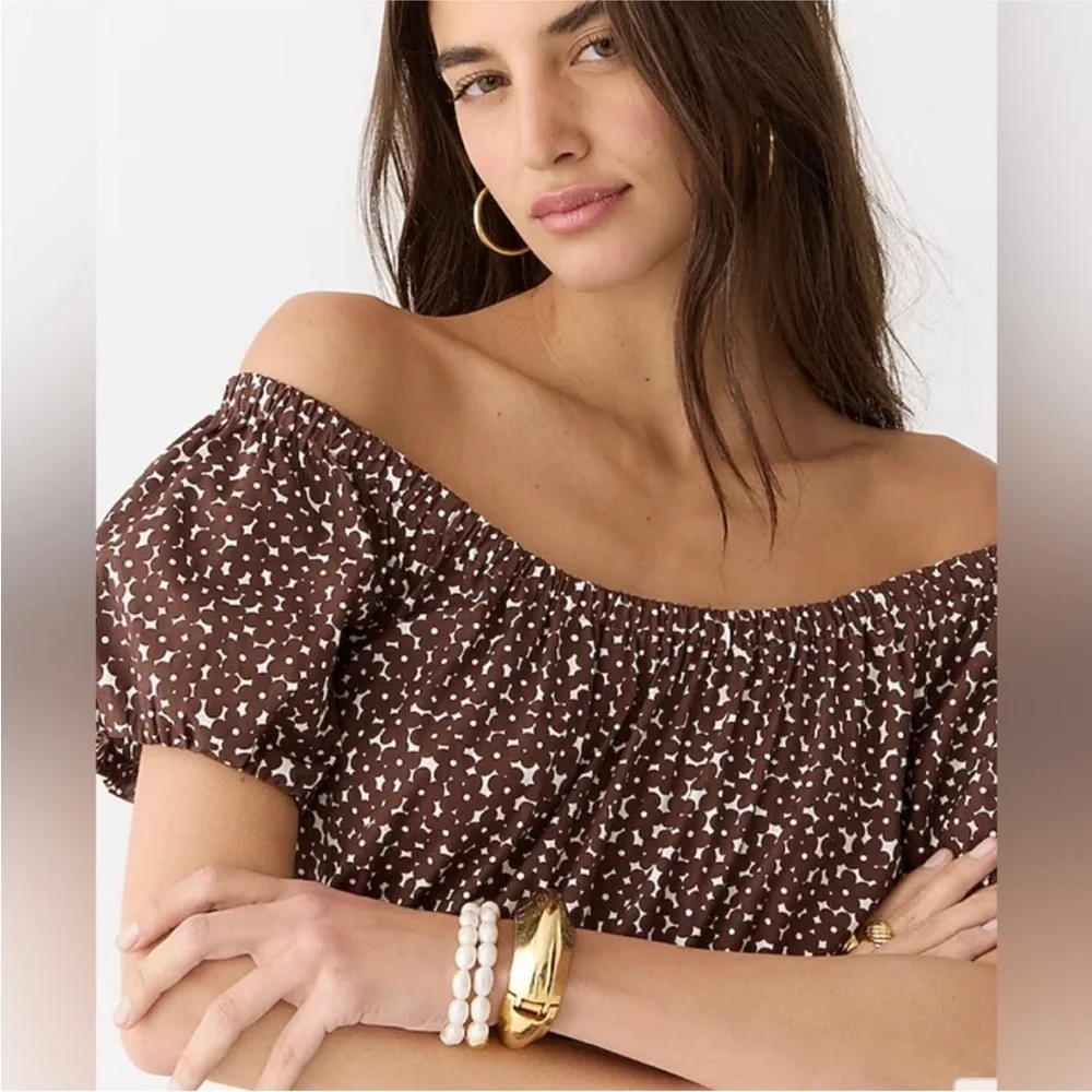 NEW J. Crew Drop Waist Cotton Poplin Mini Mocha Floral Dress
